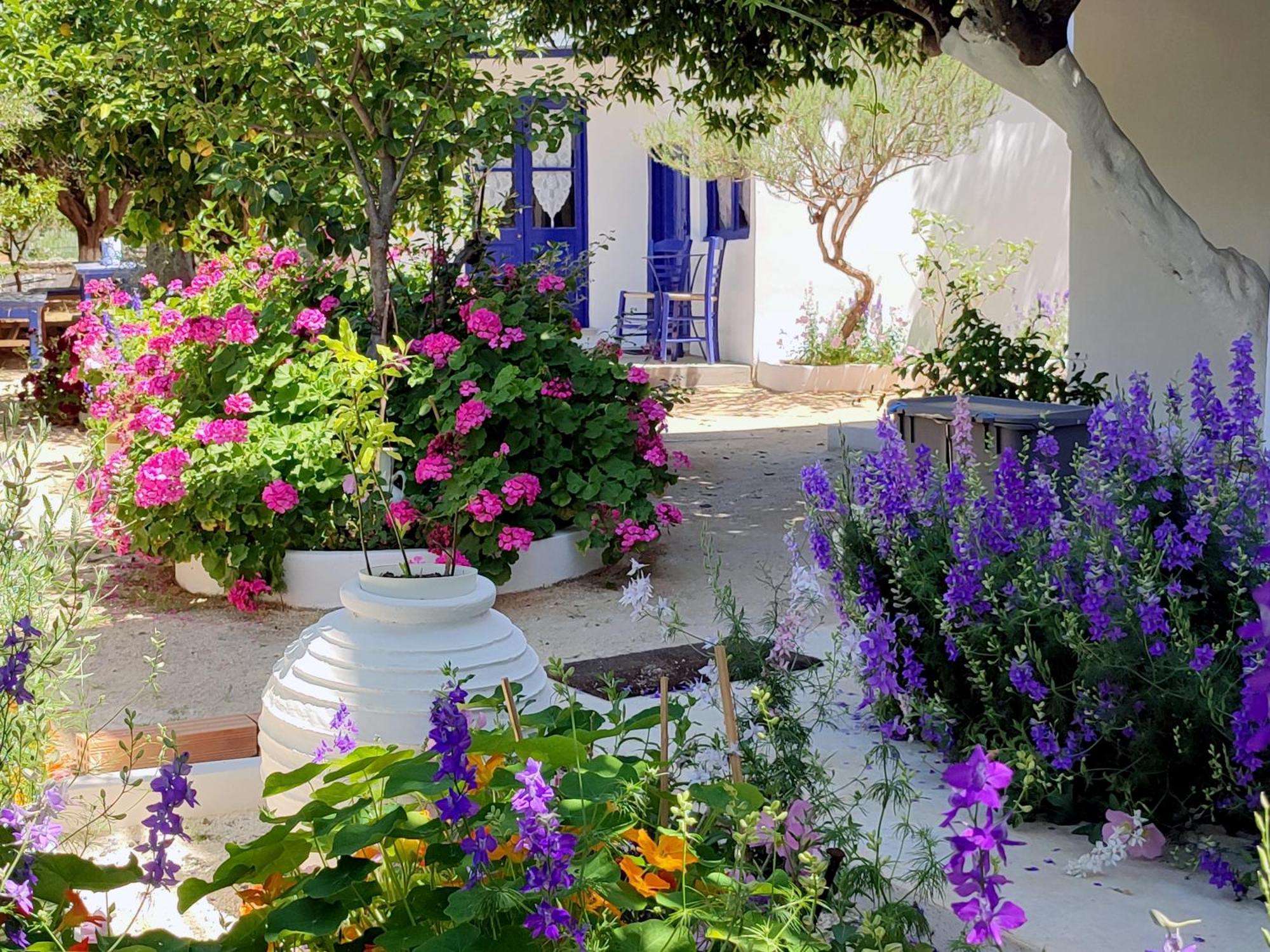 Anticlea II Vila Vathy  Exterior foto